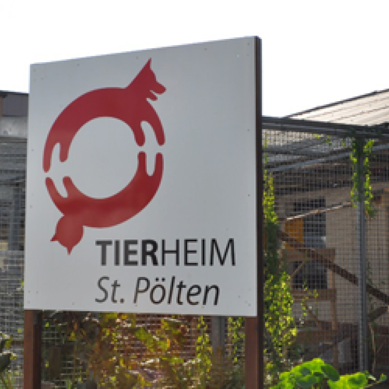 Tierheim St. Pölten