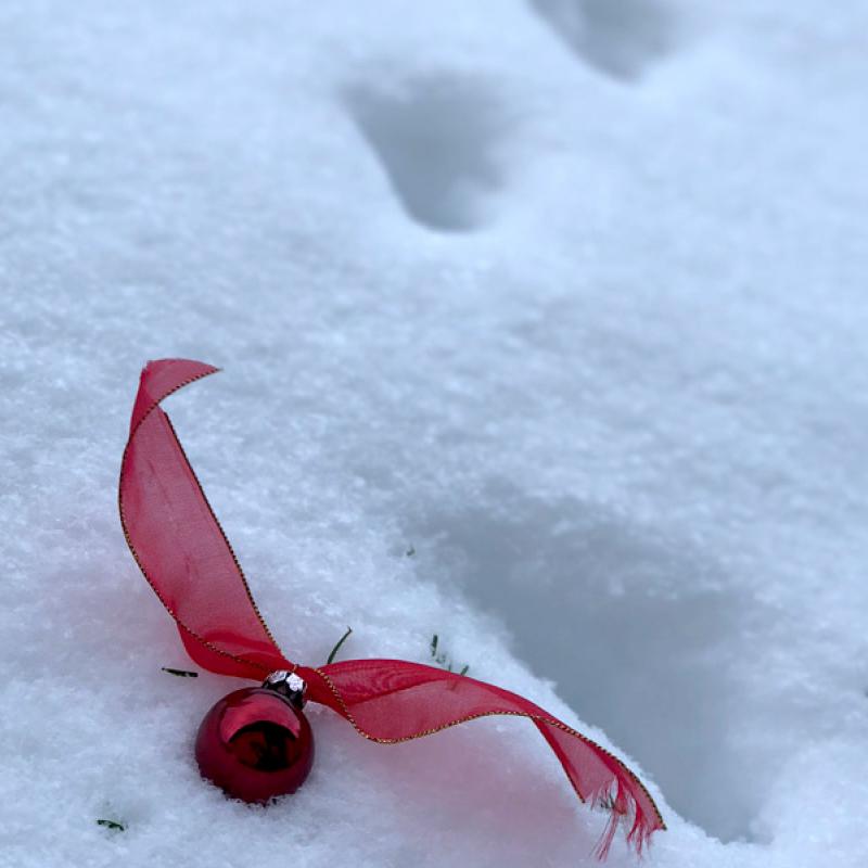 Katzenspuren im Schnee und eine rote Christbaumkugel
