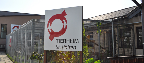 Tierheim St. Pölten