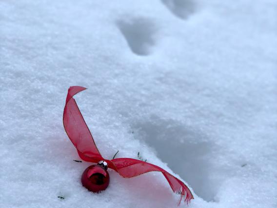 Katzenspuren im Schnee und eine rote Christbaumkugel